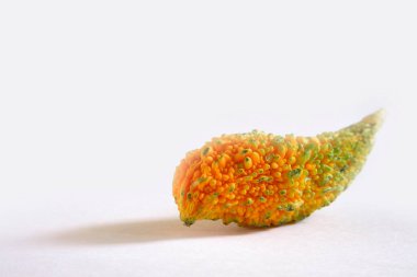 Beyaz arka planda Karela acı kabak momordika charantia