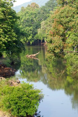 Baralikkadu eco tourist spot is situated at Karamadai Pilloor dam , Athikkadavu range of the Western Ghats near Coimbatore , Tamil Nadu , India clipart