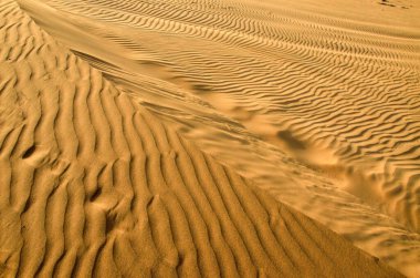 Çapraz eğri ve kum tepecikleri üzerinde dalgalanmalar Hindistan Asya 'dan Rajasthan