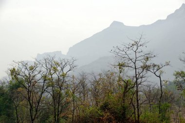 Maharashtra Hindistan Asya 'da Malshej ghat dağları