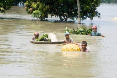 2008 yılında büyük oranda yoksulluk sınırının altında acı çeken Kosi nehri seli Purniya ilçesinde, Bihar 'da, Hindistan' da,