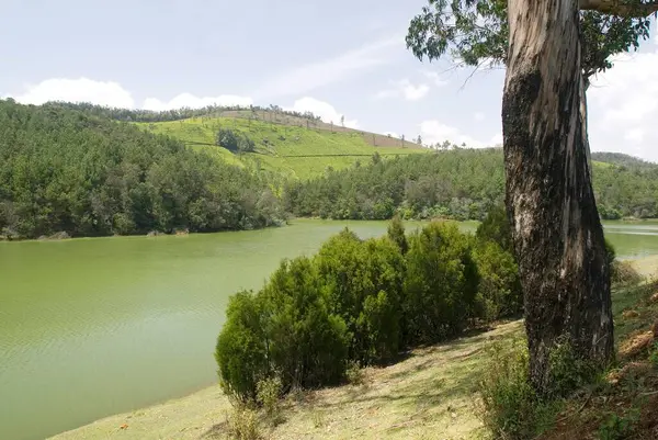 Pykara Gölü; Udhagamandalam Ooty; Tamil Nadu; Hindistan