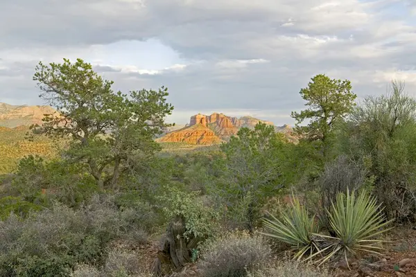 Sedona 'nın muhteşem kızıl-kaya manzarası, Amerika Birleşik Devletleri.