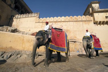 Fil amer kalesinde oturan adamlar Jaipur Rajasthan Hindistan Asya