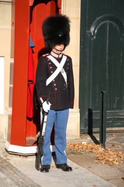 Kopenhag, Danimarka ve İskandinavya 'daki Amalienborg Kraliyet Konutu' nda kraliyet muhafızları