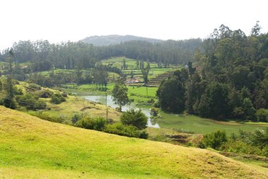 Pykara Nehri, Nilgiris bölgesi, Tamil Nadu, Hindistan 
