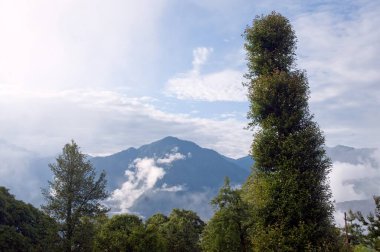 Pithoragar uttarakhand Hindistan Asya 'daki vadi manzarası