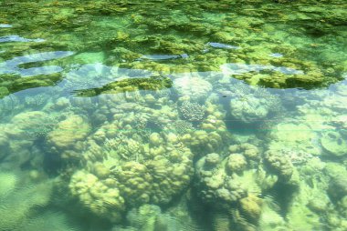 Bengal Körfezi; Andaman ve Nicobar Adaları; Hindistan Kasım 2008