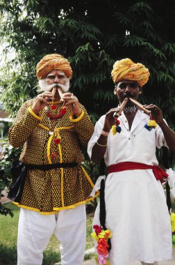 Folk müzisyeni, Rajasthan, Hindistan 
