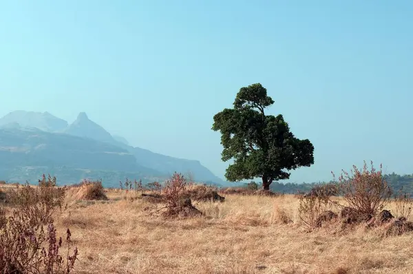 stock image Landscape in Bhandardara Maharashtra India Asia Feb 2012