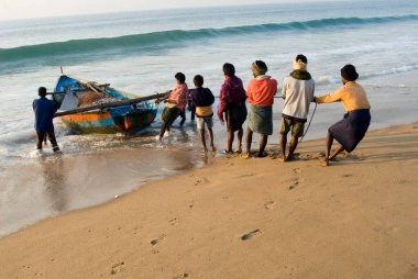 Fishermen pull ground boat laden with mornings catch at Chandrabhaga , Orissa , India clipart