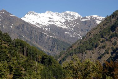 Harsil 'deki Himalaya Tepeleri Gangotri, Uttaranchal ve Hindistan yolunda.