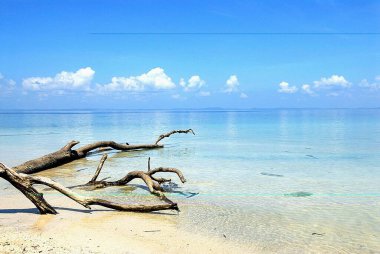 Radhanagar beach ; Havelock Islands ; Bay of Bengal ; Andaman and Nicobar Islands ; India November 2008 clipart