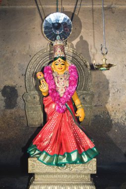 Tanrıça Parvati in ainootheswarar periyanayaki Temple, Mathur near Karaikudi, Tamil Nadu, Hindistan 