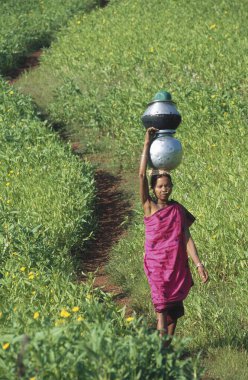 Kadın içme suyu saksısı, sogur, orissa, Hindistan 