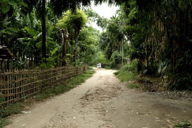 Village path ; Chakma tribe ; Arunachal Pradesh ; India