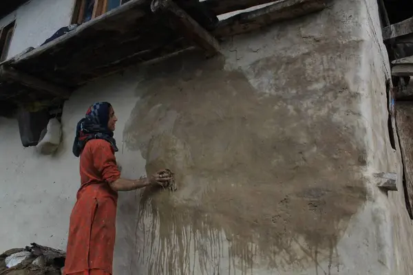 stock image kashmiri woman applying cow dung on walls, kupwara, Kashmir, India, Asia