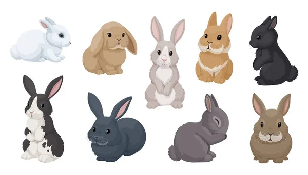 Vektor Set Von Niedlichen Kaninchen Cartoon Stil Dekorative Hasen Verschiedenen — Stockvektor