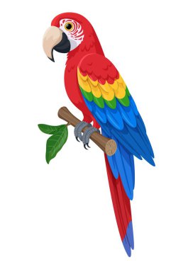Kırmızı papağan bir dal vektör illüstrasyonunda oturuyor. Büyük kırmızı papağan, mavi-sarı kanatlı tropik papağan. Beyaz arka planda izole edilmiş tropik bir kuş. Stok vektörü.