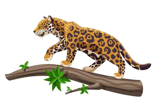 Jaguar Lopend Een Boomstam Vector Illustratie Grote Tropische Kat Jaguar — Stockvector