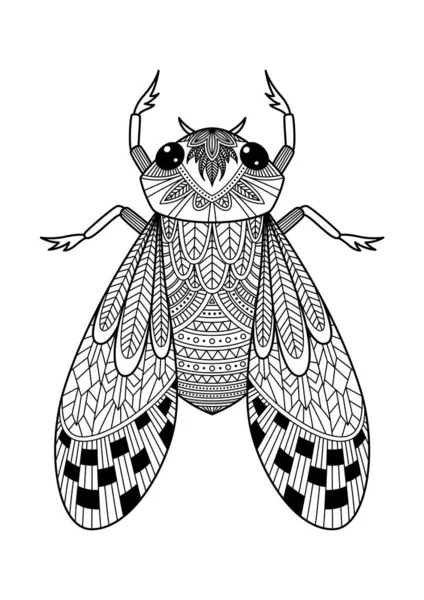 Взрослый Каракули Антистрессовой Раскраски Книги Жук Zentangle Bug Черно Белые — стоковый вектор