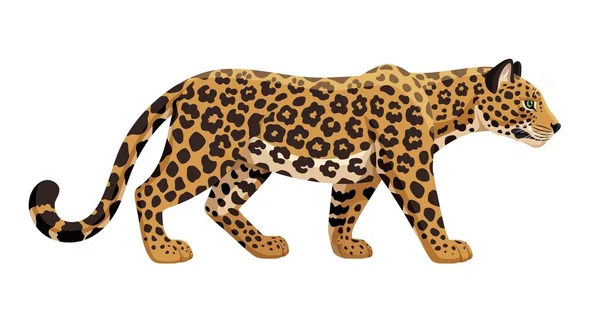 Illustrazione Vettoriale Piedi Leopardo Vista Laterale Leopardo Africano Isolato Sfondo — Vettoriale Stock