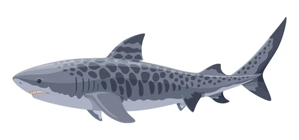 Пляжная Сторона Тигровой Акулы Опасная Акула — стоковый вектор