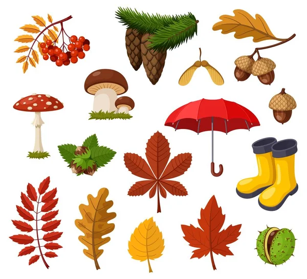 Autumn Collection Items Leaves Forest Plants Berries Mushrooms Autumn Rubber — Stock Vector