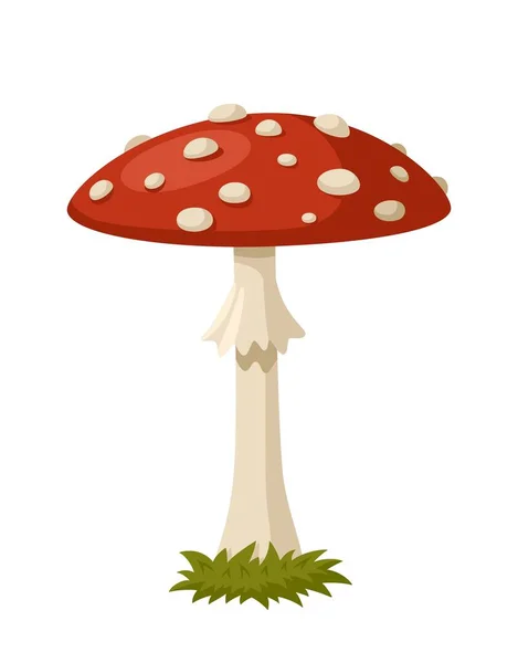 stock vector Fly agaric vector illustration isolated on white background. Poison mushroom. Stock vector.