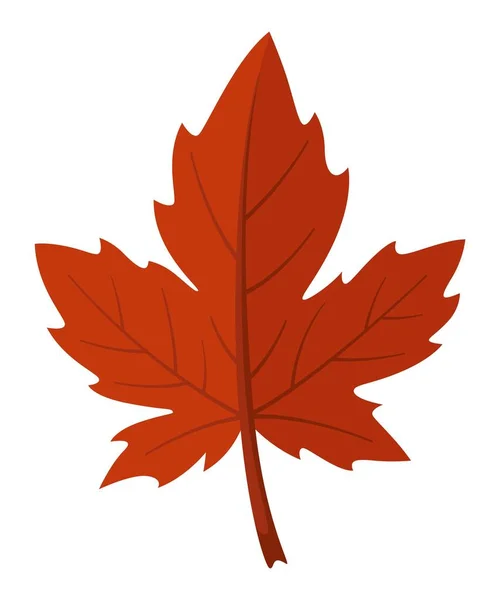 Φθινοπωρινό Κόκκινο Φύλλο Σφενδάμου Απομονωμένο Λευκό Φόντο Εικονογράφηση Διανύσματος — Διανυσματικό Αρχείο