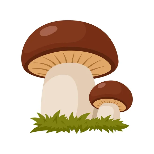 草丛中的两个蘑菇 在白色背景下分离的森林蘑菇 矢量说明 — 图库矢量图片