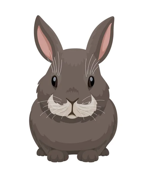 Conejo Gris Vista Frontal Ilustración Vectorial Conejo Sobre Fondo Blanco — Vector de stock