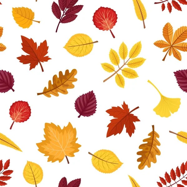 秋天留下无缝的病媒图案 各种秋叶的背景 桦树和其他树木 图库矢量图片