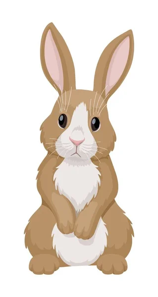 Rot Weißes Kaninchen Steht Vorne Vektor Illustration Isoliert Auf Weißem lizenzfreie Stockillustrationen