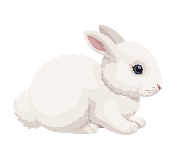 可爱的白兔坐在旁边看风景 在白色背景上孤立的兔子向量图解 种群病媒 图库矢量图片