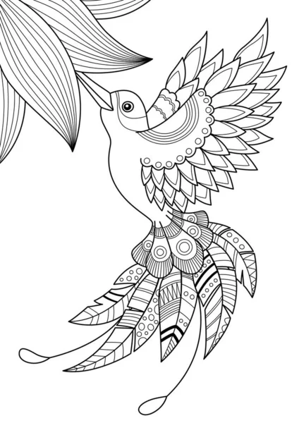 Hummingbird Doodle Colorazione Libro Pagina Illustrazione Zentangle Vettoriale Bianco Nero — Vettoriale Stock