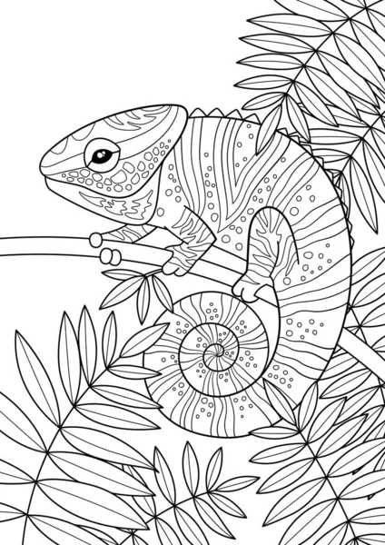 Chameleon Doodle Colorazione Libro Pagina Illustrazione Zentangle Vettoriale Bianco Nero — Vettoriale Stock