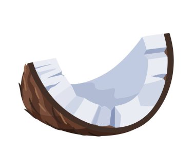 Bir parça hindistan cevizi. Beyaz arka planda izole edilmiş vektör tropikal meyve çizimi. Stok vektörü.