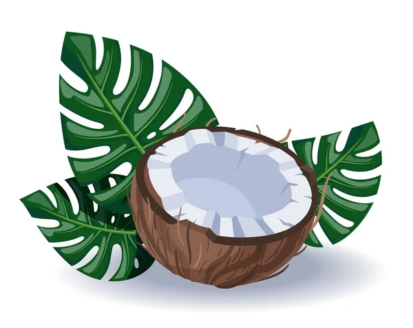 Half Coconut Tropical Leaves White Background Stock Vector — Stock Vector