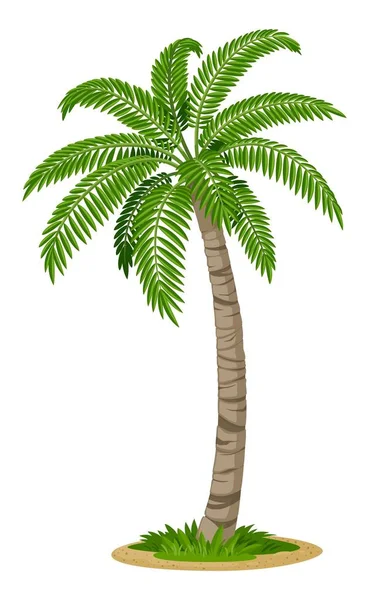 棕榈树在白色背景上孤立的热带树矢量图解 种群病媒 图库插图