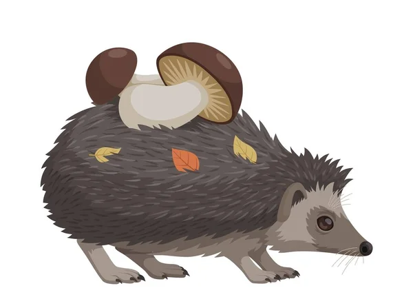 Forest Hedgehog Mushrooms Autumn Leaves Its Back Vector Illustration White — Stock Vector