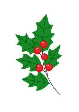 Böğürtlenli ve yapraklı Holly filizi. Geleneksel Noel dekorasyonu. Beyaz arka planda izole edilmiş. Noel tasarım elementi.