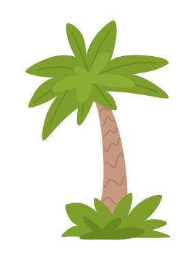 Çocuk çizgi film palmiyesi. Tropik egzotik ağaç. Tarih öncesi bitki. Beyaz arkaplanda vektör illüstrasyonu.