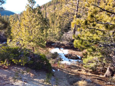 Güzel doğa. Nevada Eyaleti. ABD