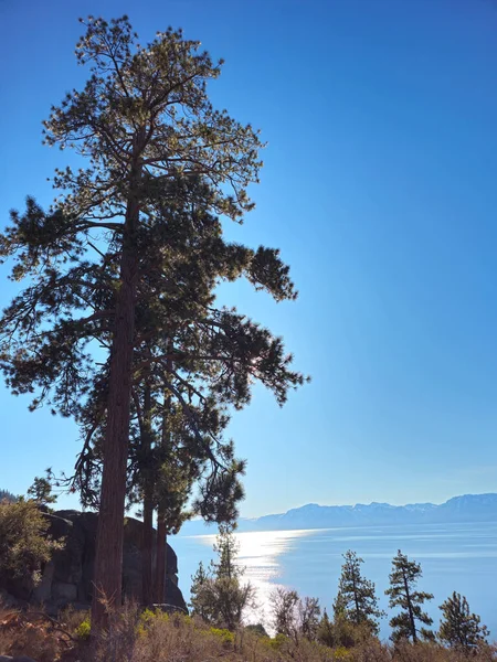 Güzel doğa. Tahoe Gölü. ABD.