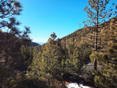 Güzel doğa. Nevada Eyaleti. ABD.