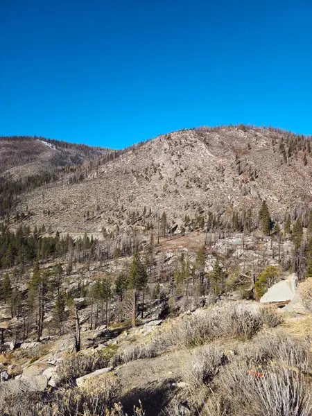 Güzel doğa. Nevada Eyaleti. ABD
