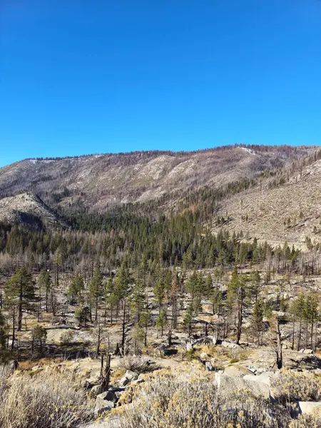 Güzel doğa. Nevada Eyaleti. ABD