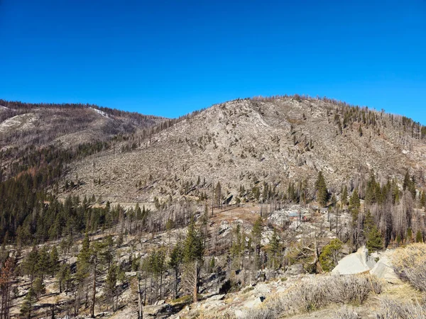 Güzel doğa. Nevada Eyaleti. ABD