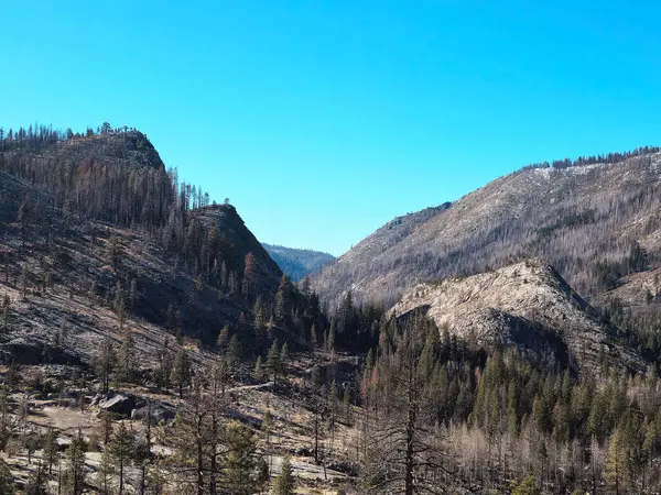 Güzel doğa. Nevada Eyaleti. ABD